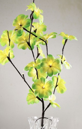 Green frangipani 50cm light - frangipani,
