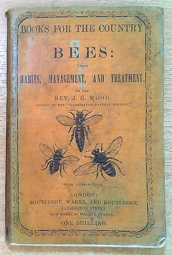 Wood bees their habits - ,