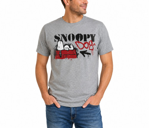 Peanuts snoopy dog house - peanuts,