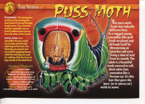 Weird wild creatures - weird,
