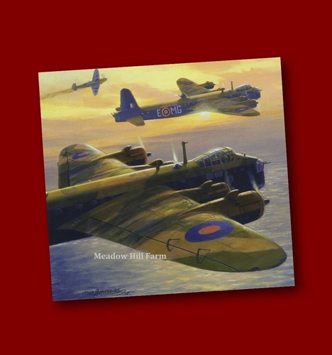 Fridge magnet raf short - fridge,