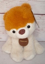 Cute Pomeranian Pomeranea