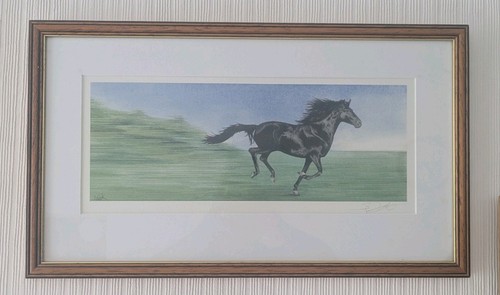 Signed original equine - signed,