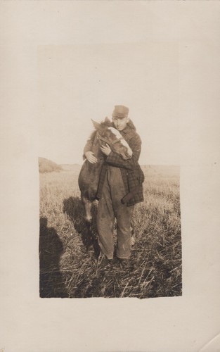 Newborn foal farmer - farmer, prairie