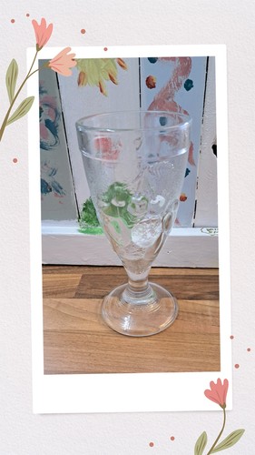 Vintage retro ice cream