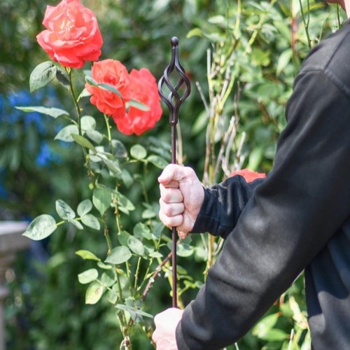 5ft spiral knot metal plant - spiral,