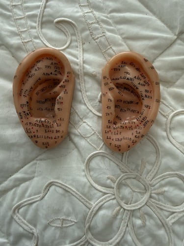 Ear models showing - models,