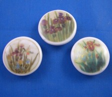 Birchcroft China Buttons --