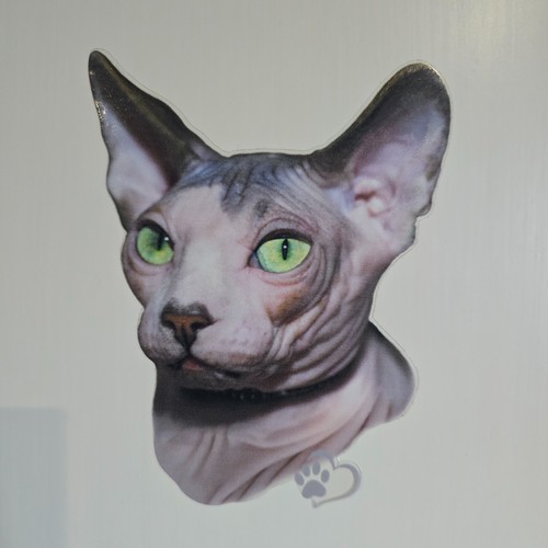 Sphynx cat sphinx decal - sphinx,
