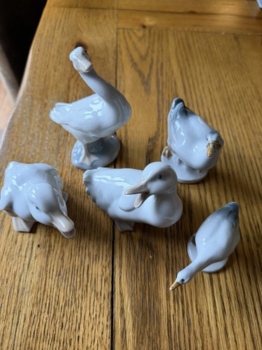 Collection ducks geese to - of,