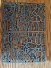 Necron Warriors and Scarab