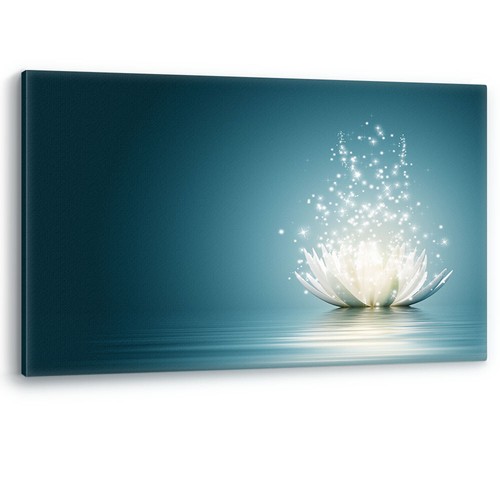 Lotus flower water sparkle - lotus,