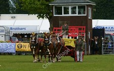 Photo 12x8 The South of