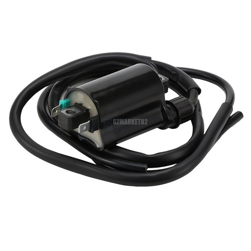 Ignition coil for - ignition,
