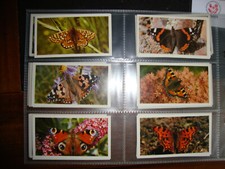 BUTTERFLIES (BRITISH)