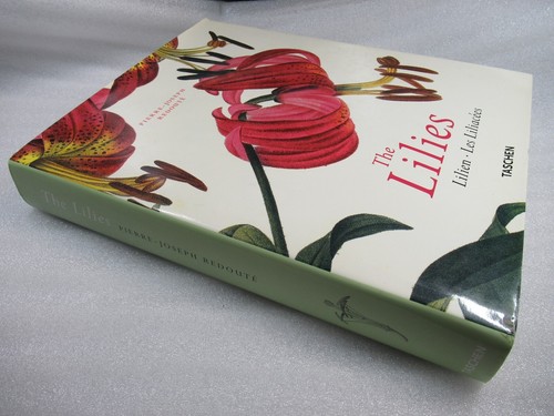 The lilies pierre - lilies,