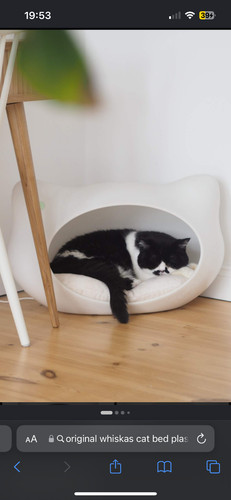 Original rare large whiskas - rare,
