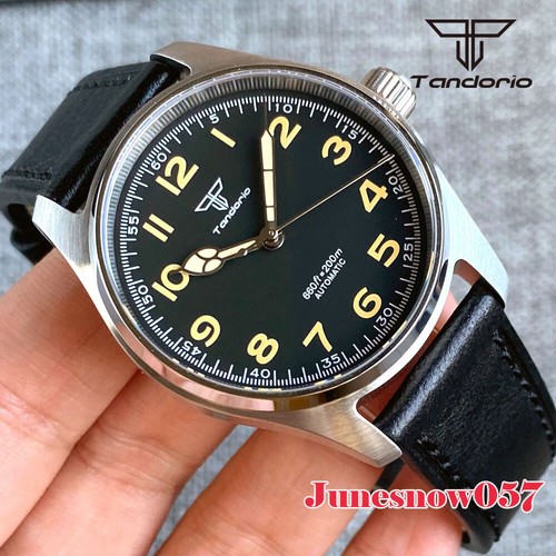 Diver 20atm 39mm - 39mm, polit