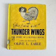 Vintage "Thunder Wings: Story