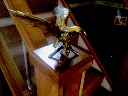 Vintage large wing span - ,