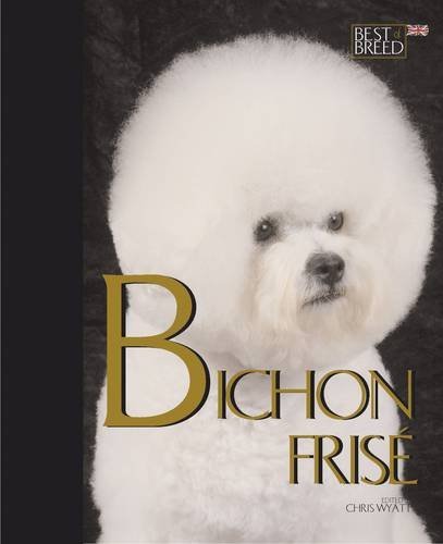 Bichon frise best of - -,