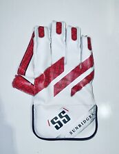 SS Dragon wicket keeping gloves