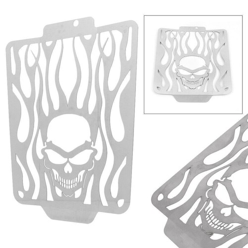 Steel skull flames - steel,
