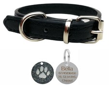 Vibrant Leather Dog Collar for