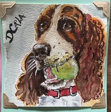 Original Mini Watercolour painting Springer Spaniel Dog art picture
