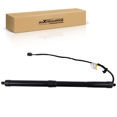 Electric tailgate gas - gas, strut