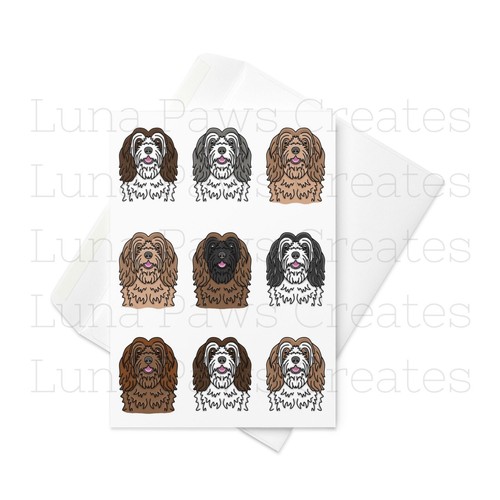 Tibetan terrier card - terrier,