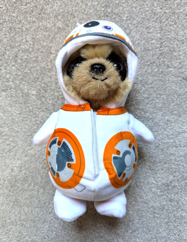 Compare the meerkat - compare, baby