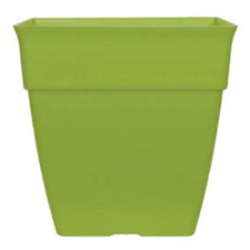 Green large plant pots - large, 26