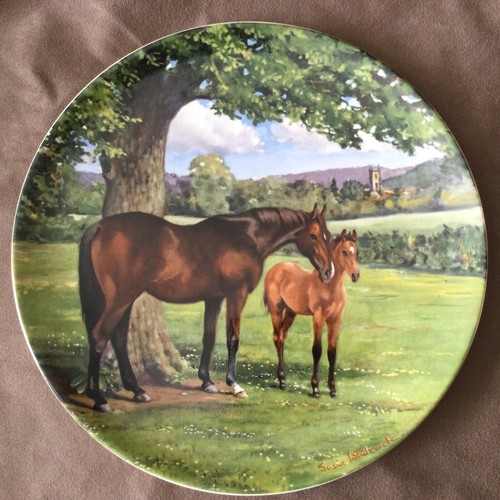 Spode display plate the - display,