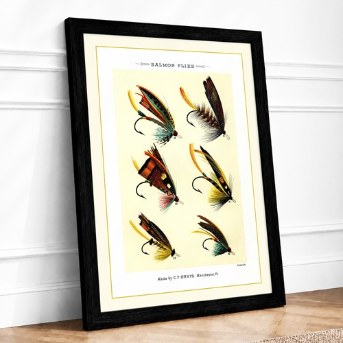 Salmon flies study - salmon, vintage