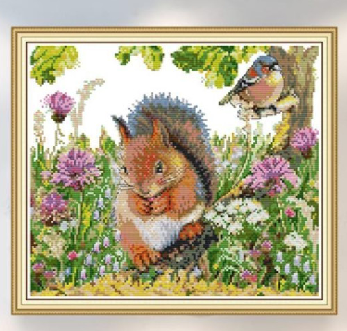 Squirrel and bird - squirrel,