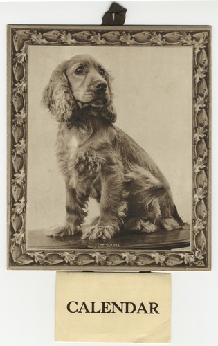 Cocker spaniel print - print, on
