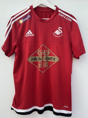 Swansea 2014 football - swansea, 2014/15