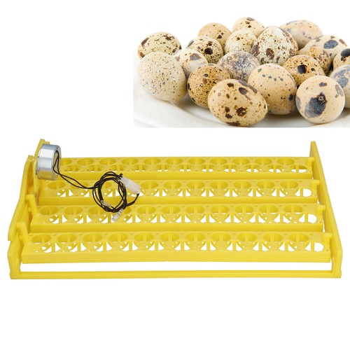 Egg turning tray safe - turning, eggs