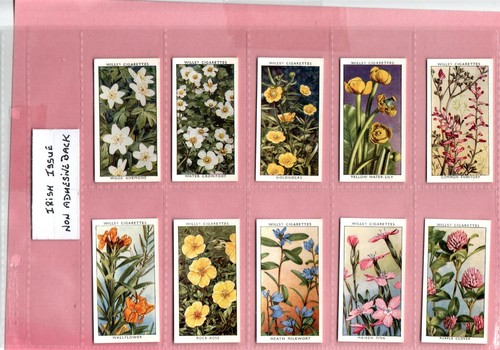 Wills wild flowers - wills:, (adhesive)