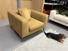 Swoon John Lewis Alena Armchair In Biscuit Easy Velvet  Black Chrome RRP £1079