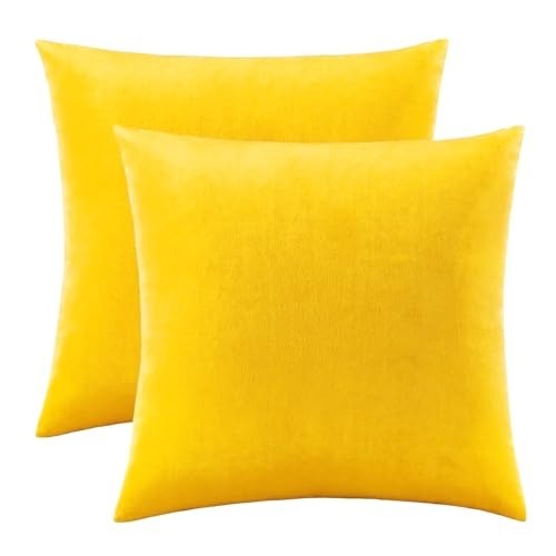 Velvet cushion covers - velvet,