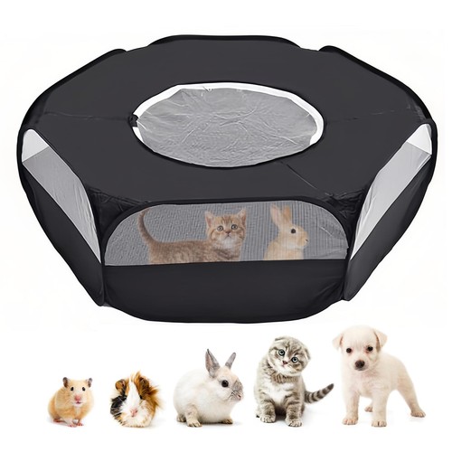 Small animal cage hamster - animal,