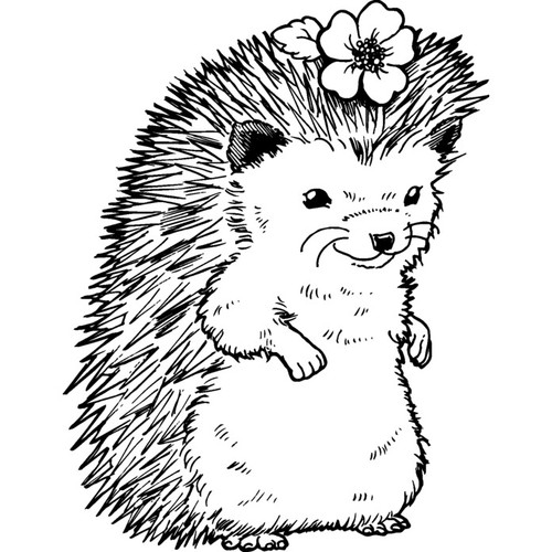 Flower hedgehog unmounted - hedgehog',
