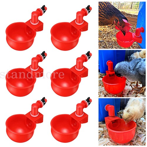 Automatic chicken water - 6x,