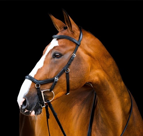 Rambo miklem bridle - bridle, brown
