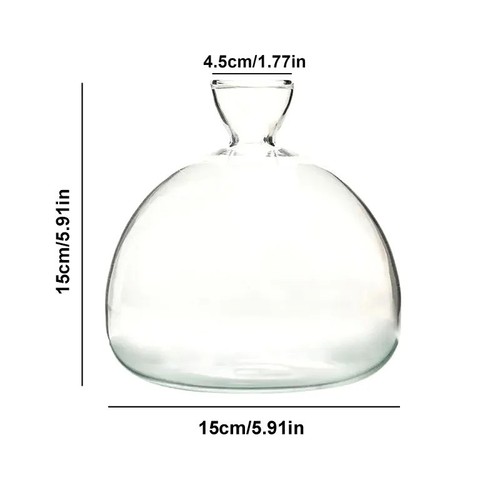 Avocado seed starter glass - seed,