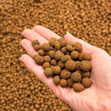Clay Pebbles for Hydroponics