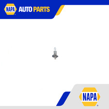 H1 Headlight Bulb fits BMW