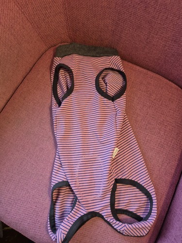 Large dog bodysuit - large, pink